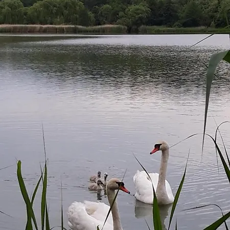 Goecsej Voelgye Camping Kustánszeg