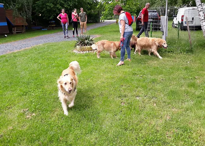 Camping Goecsej Voelgye